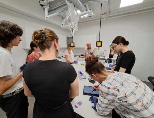 GREENART Training on Cleaning of Cellulose-Based Artworks: Exploring Tradition and Innovation at the University of Ljubljana